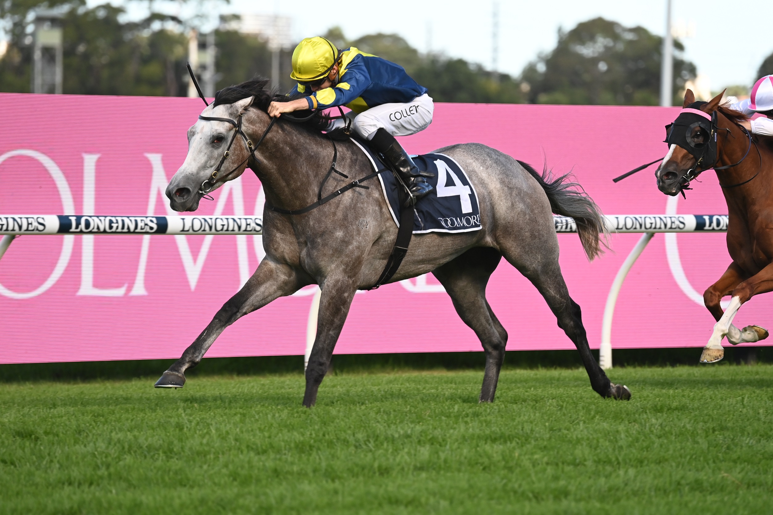 Coolmore classic betting calculator cryptocurrency miners