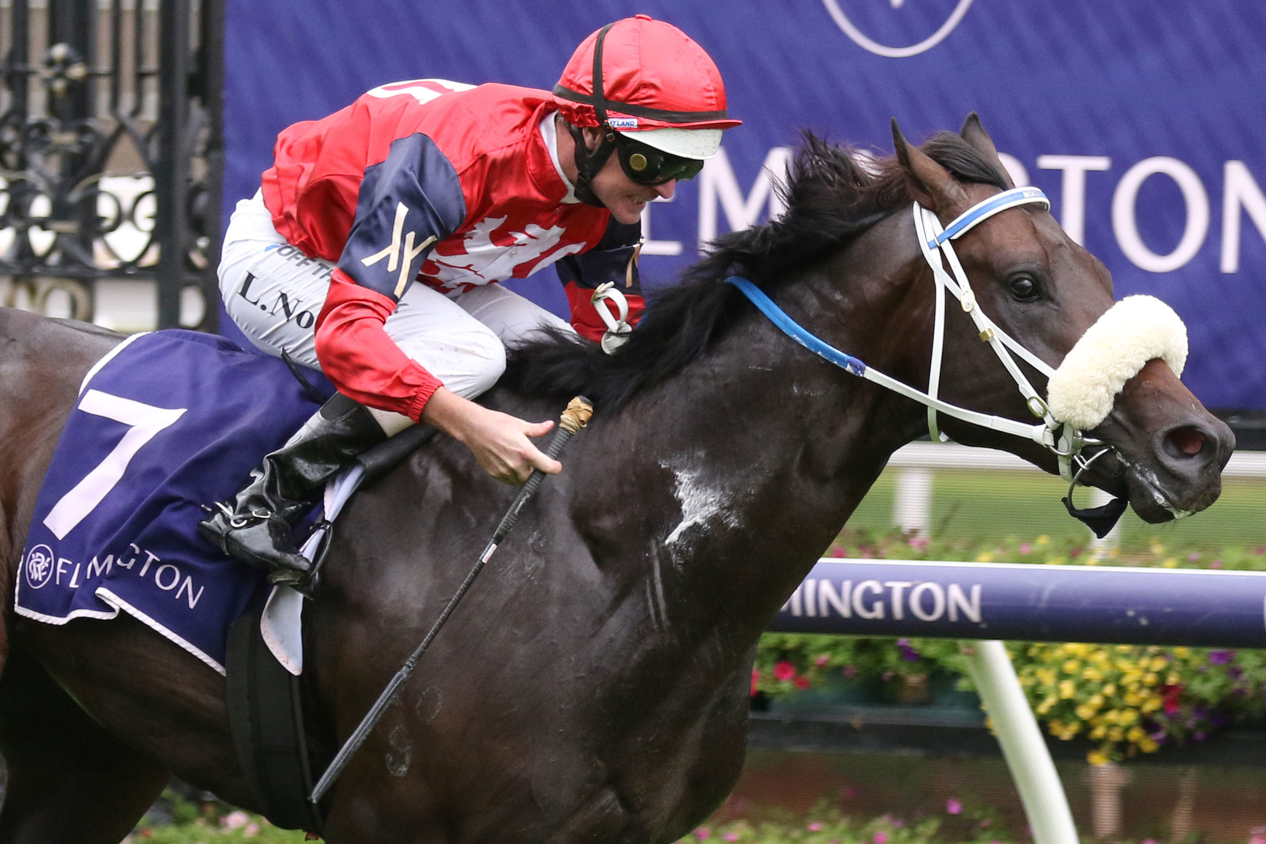 Millane continues trek to Golden Rose and Caulfield Guineas - Vimarsana News