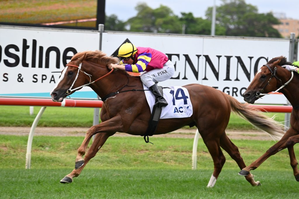 Mr Mozart 2803228288 | Just Horse Racing