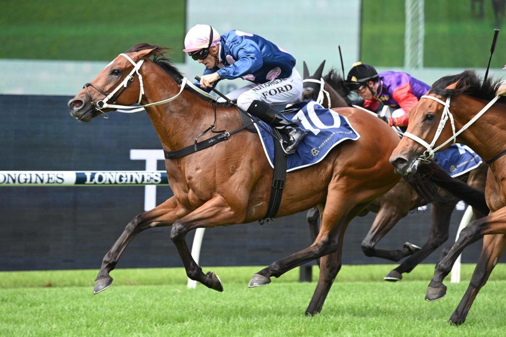 No Compromise 1903224633 | Just Horse Racing