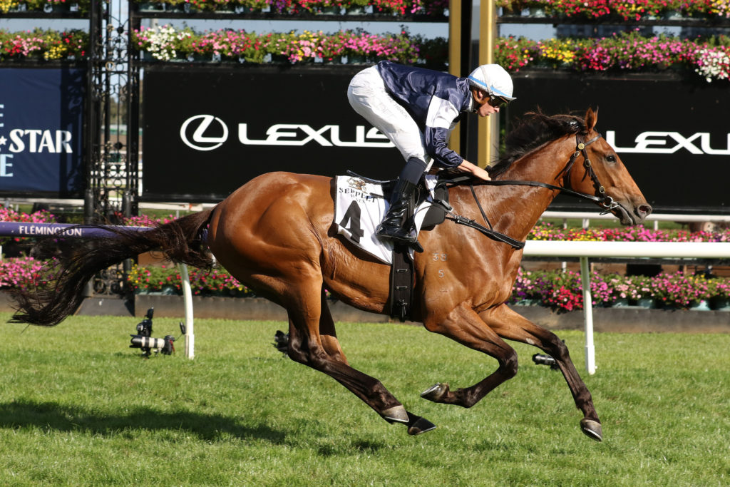 Pondus_19-03-2022_WIN_Flemington_8__1222 | Just Horse Racing