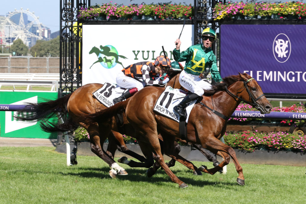 ROCH 'N' HORSE 0K9A1463 | Just Horse Racing