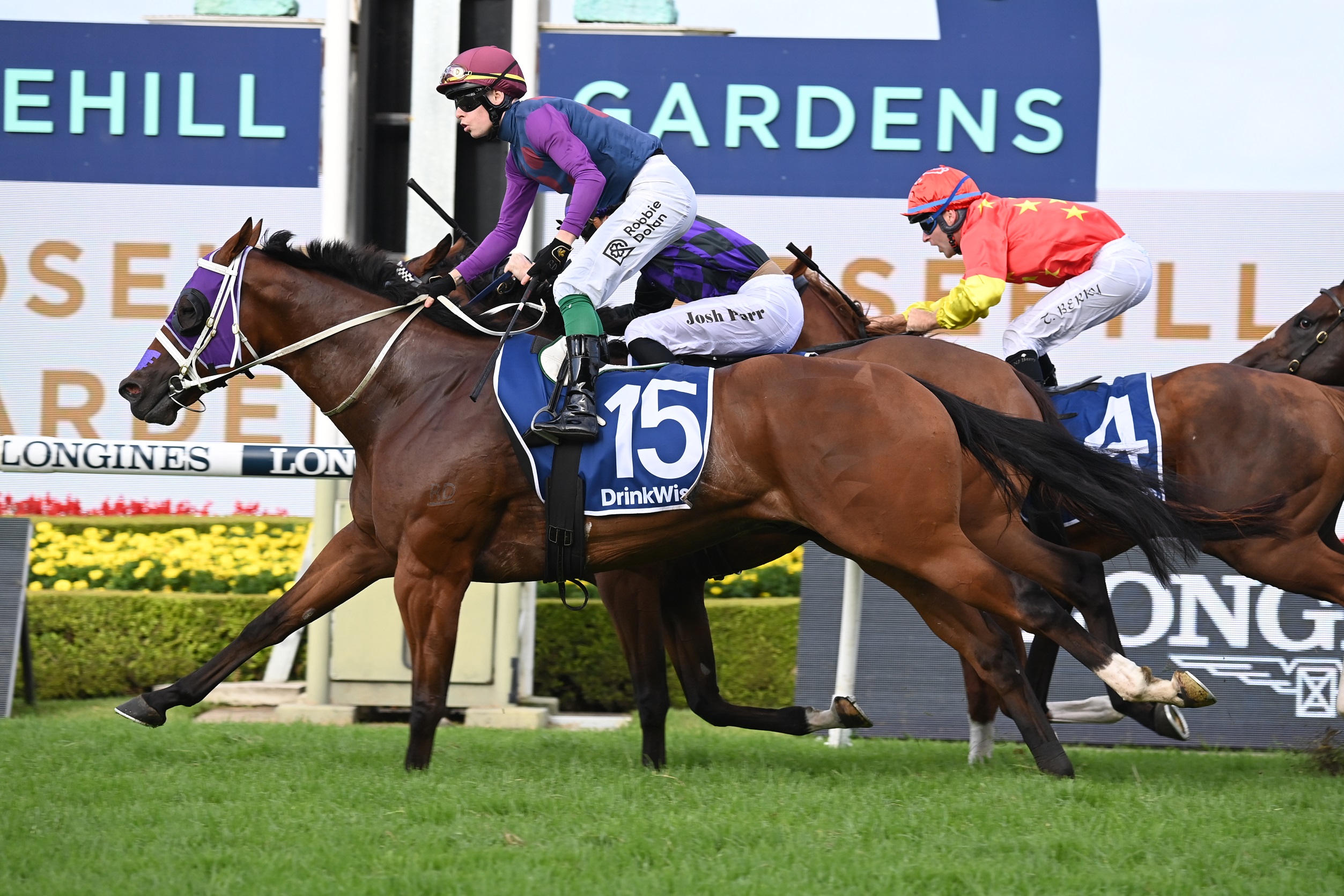 Cult hero Shelby Sixtysix wins G1 Galaxy - Vimarsana News