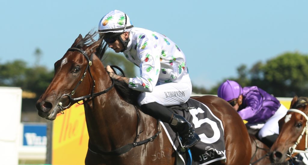 She'sgottheboom3 | Just Horse Racing