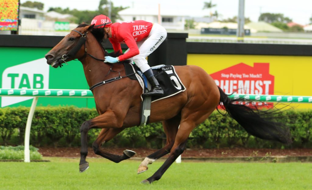 Smart Image3 | Just Horse Racing