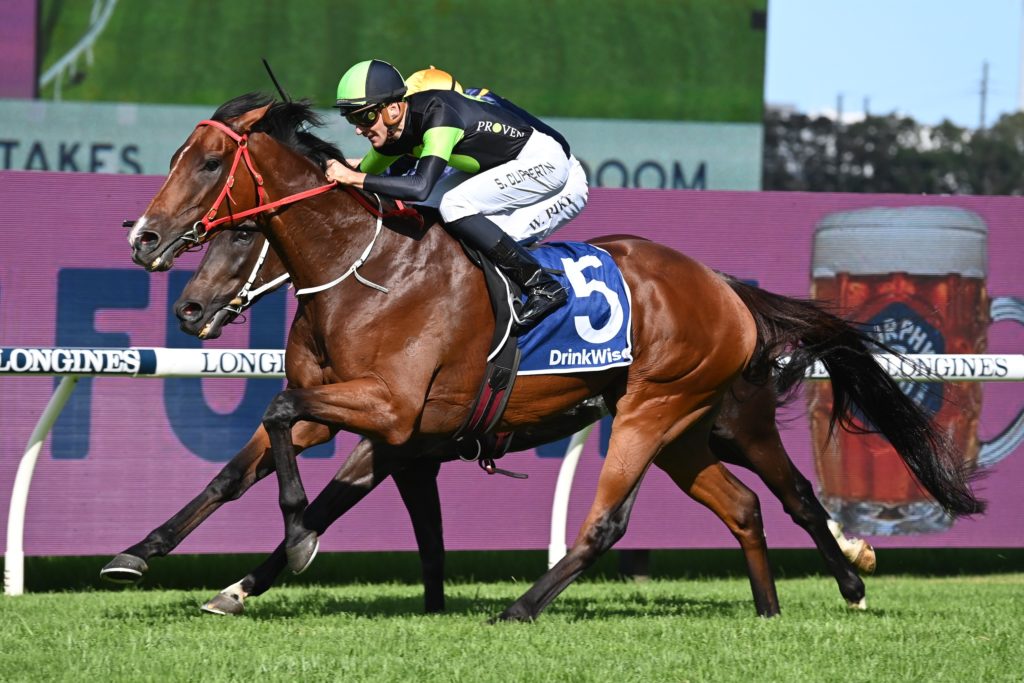 Stockman 1203223312 | Just Horse Racing