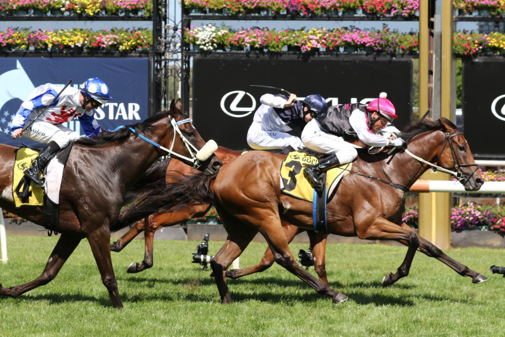 Umgawa_19-03-2022_WIN_Flemington_4__390 | Just Horse Racing