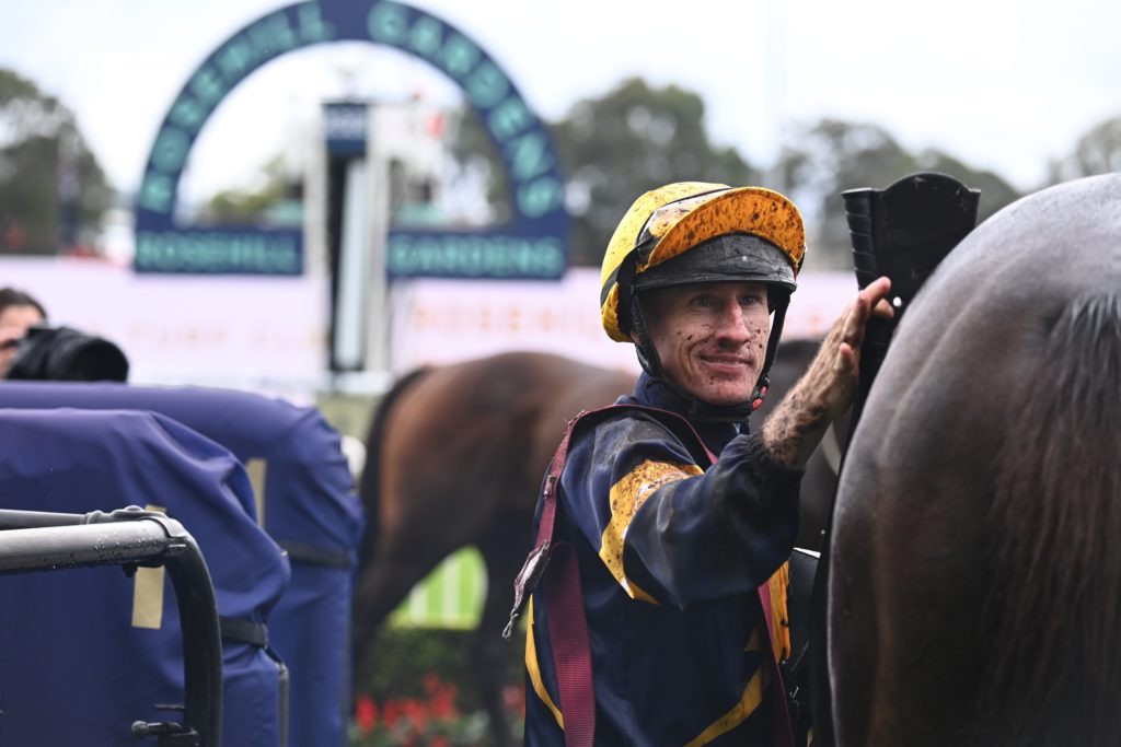 William Pike Mount Popa 2603227705 | Just Horse Racing