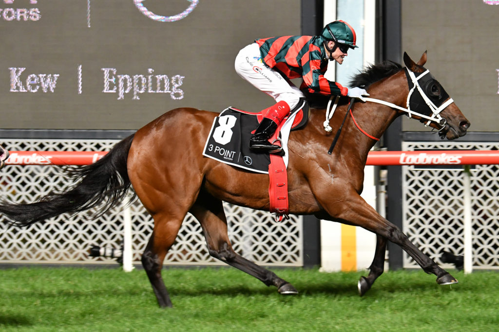 September Run | Just Horse Racing