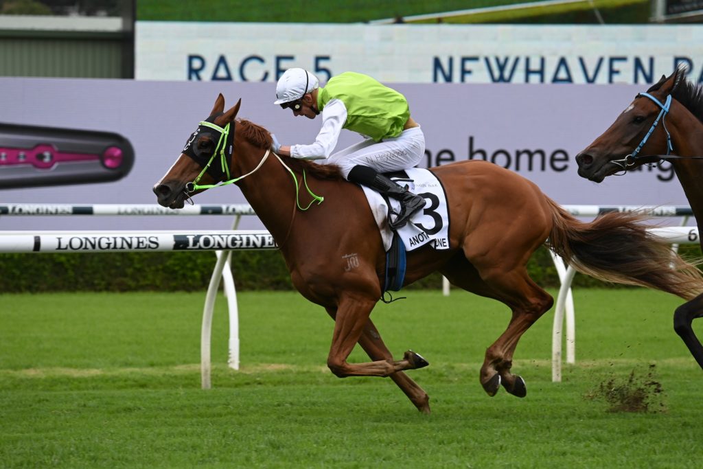 Another One 0204220164 | Just Horse Racing