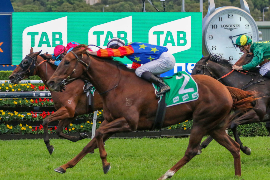Bella Nipotina 0K9A2811 | Just Horse Racing