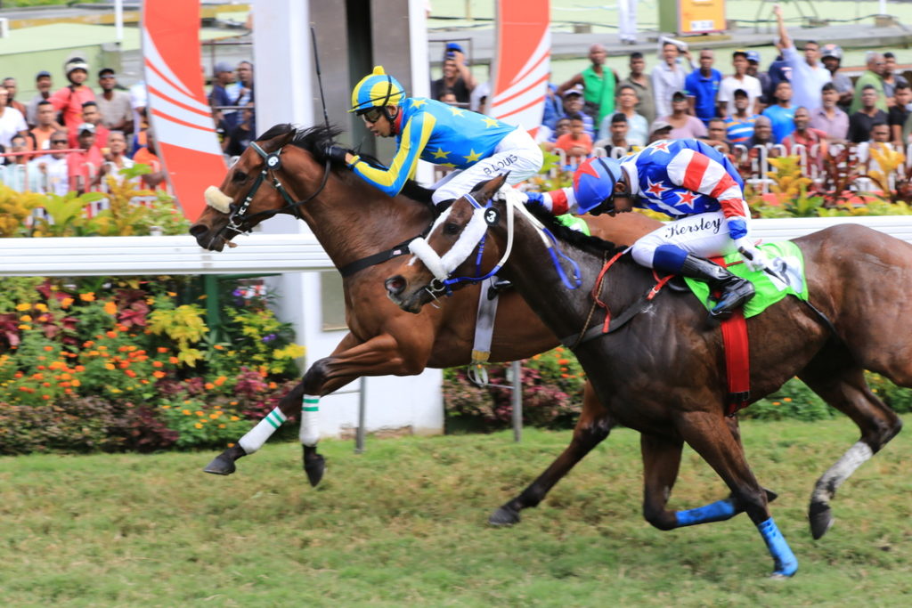 Brandon Louis | Just Horse Racing
