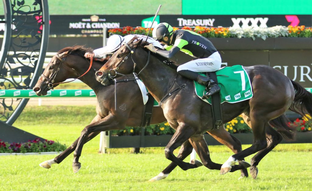 Count De Rupee | Just Horse Racing