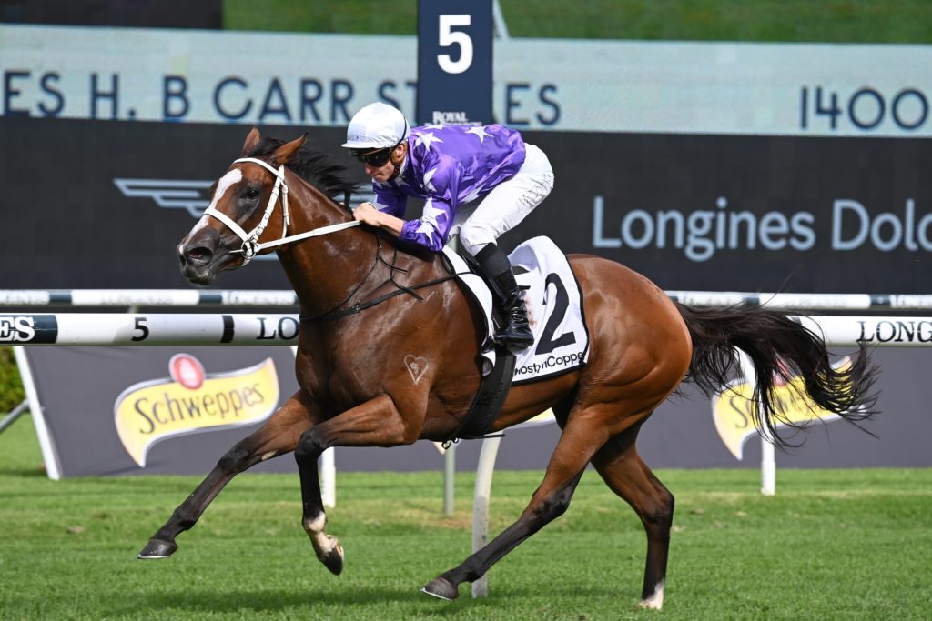 Espiona 160422 5882 | Just Horse Racing
