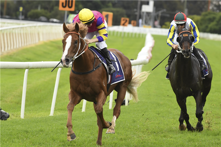 Mr Mozart brings up hat-trick in Guineas | Just Horse Racing
