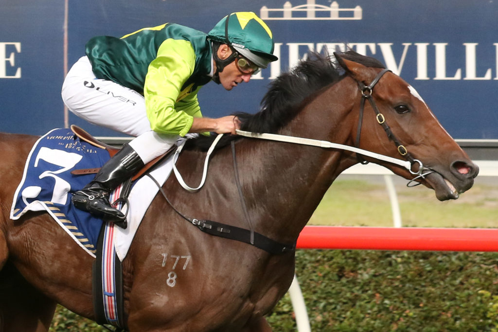 Jungle Magnate,Chairman's Stakes,Group 3_30-04-2022_WIN_Morphettville_6__1033 | Just Horse Racing
