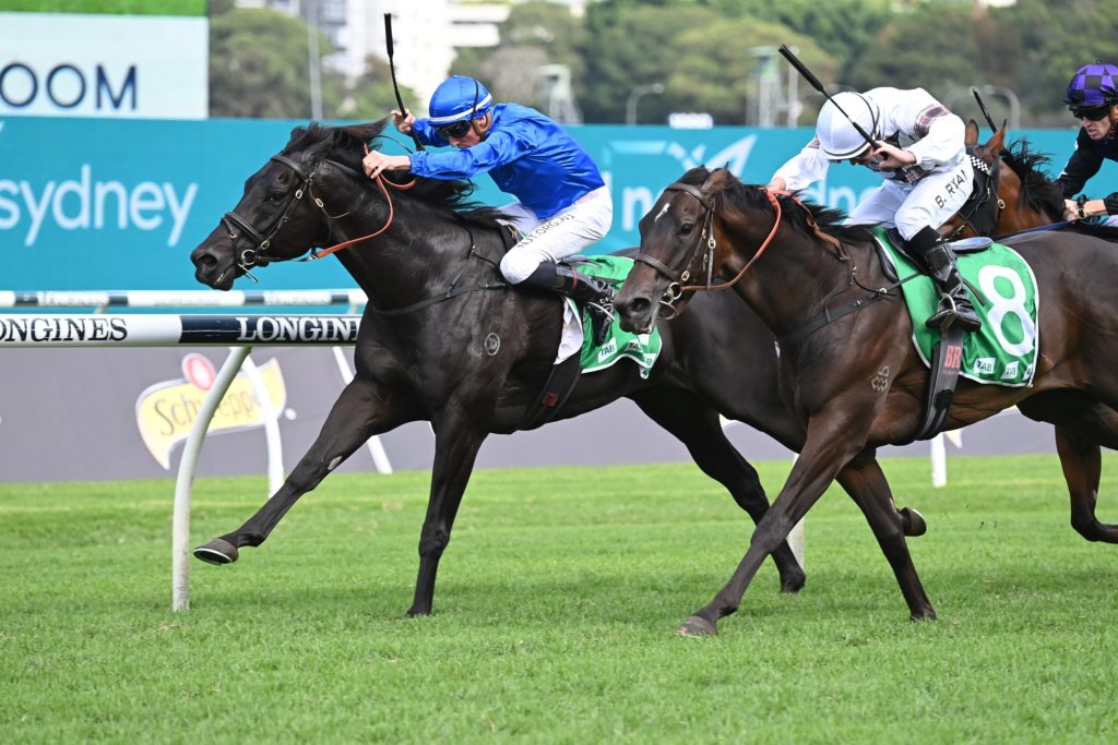 Kementari 160422 5998 | Just Horse Racing