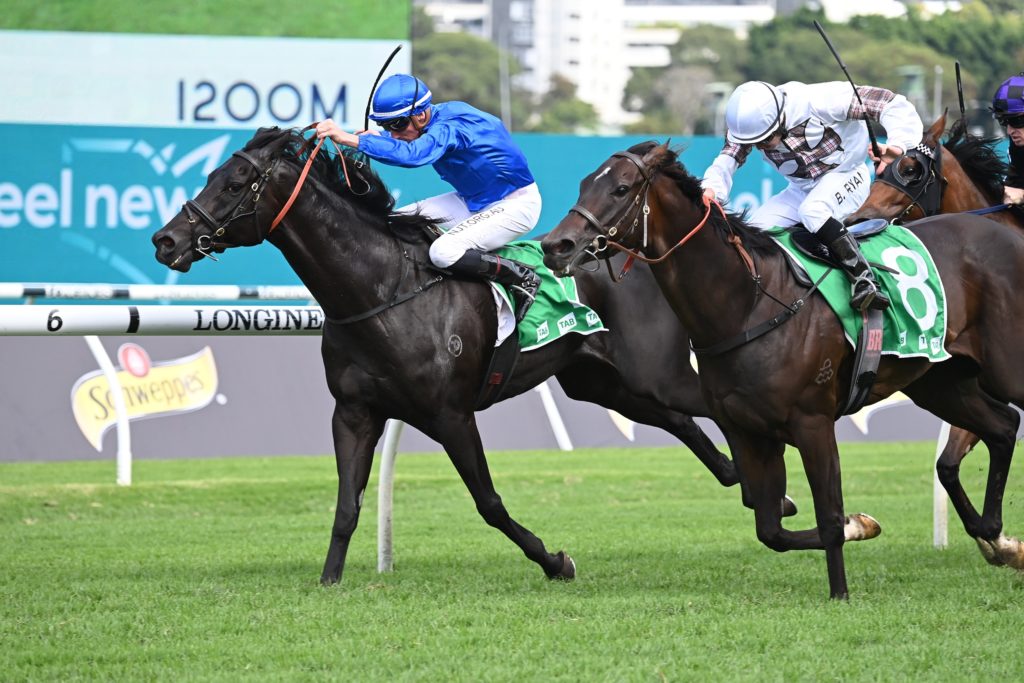 Kementari 160422 5999 | Just Horse Racing