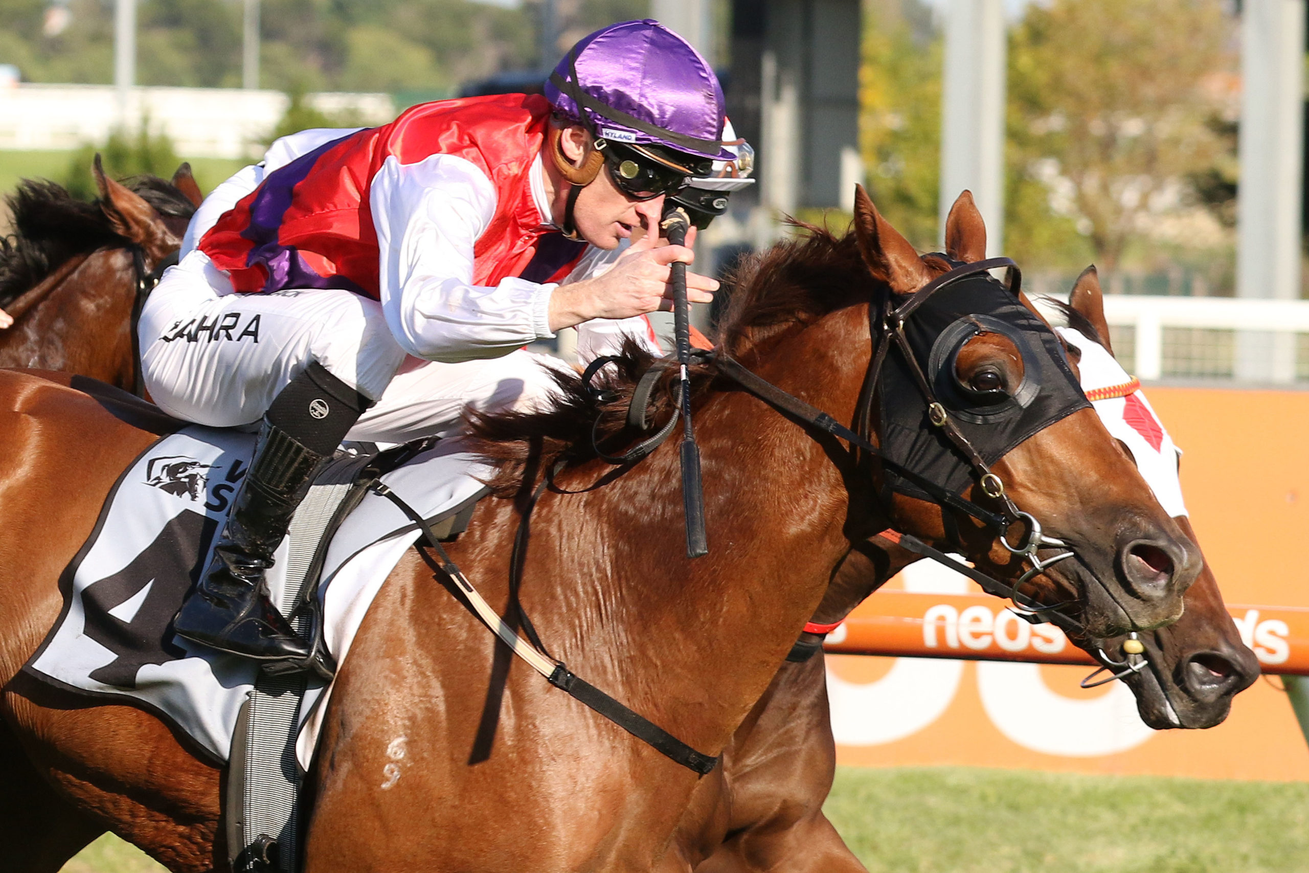 VOBIS Race day offers excellent prizemoney and big nominations at Sandown - Vimarsana News