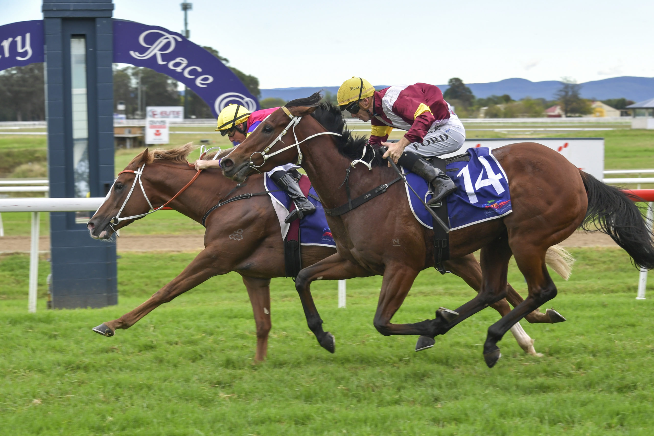 Mr Mozart brings up hat-trick in Hawkesbury Guineas - Vimarsana News