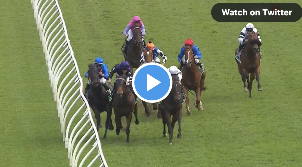 Nash Rawiller suspended over Kementari ride | Just Horse Racing