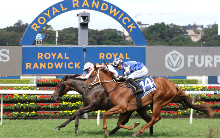 Randwick Races