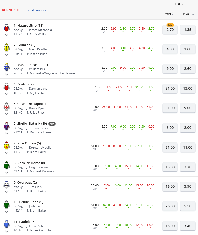 Randwick R8 Betting Preview | Just Horse Racing