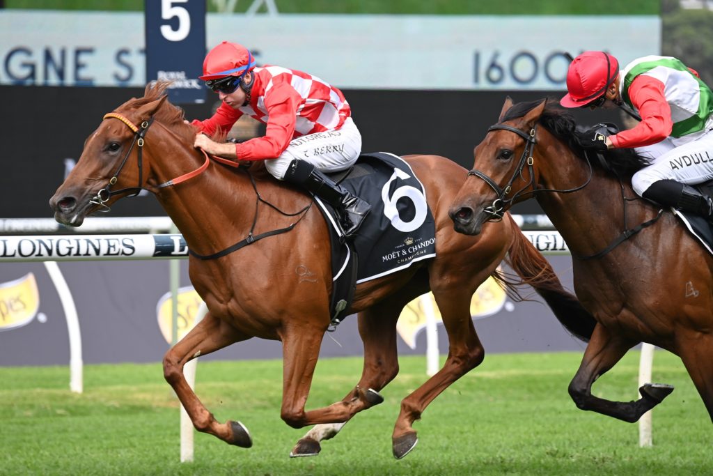 She's Extreme 160422 5680 | Just Horse Racing