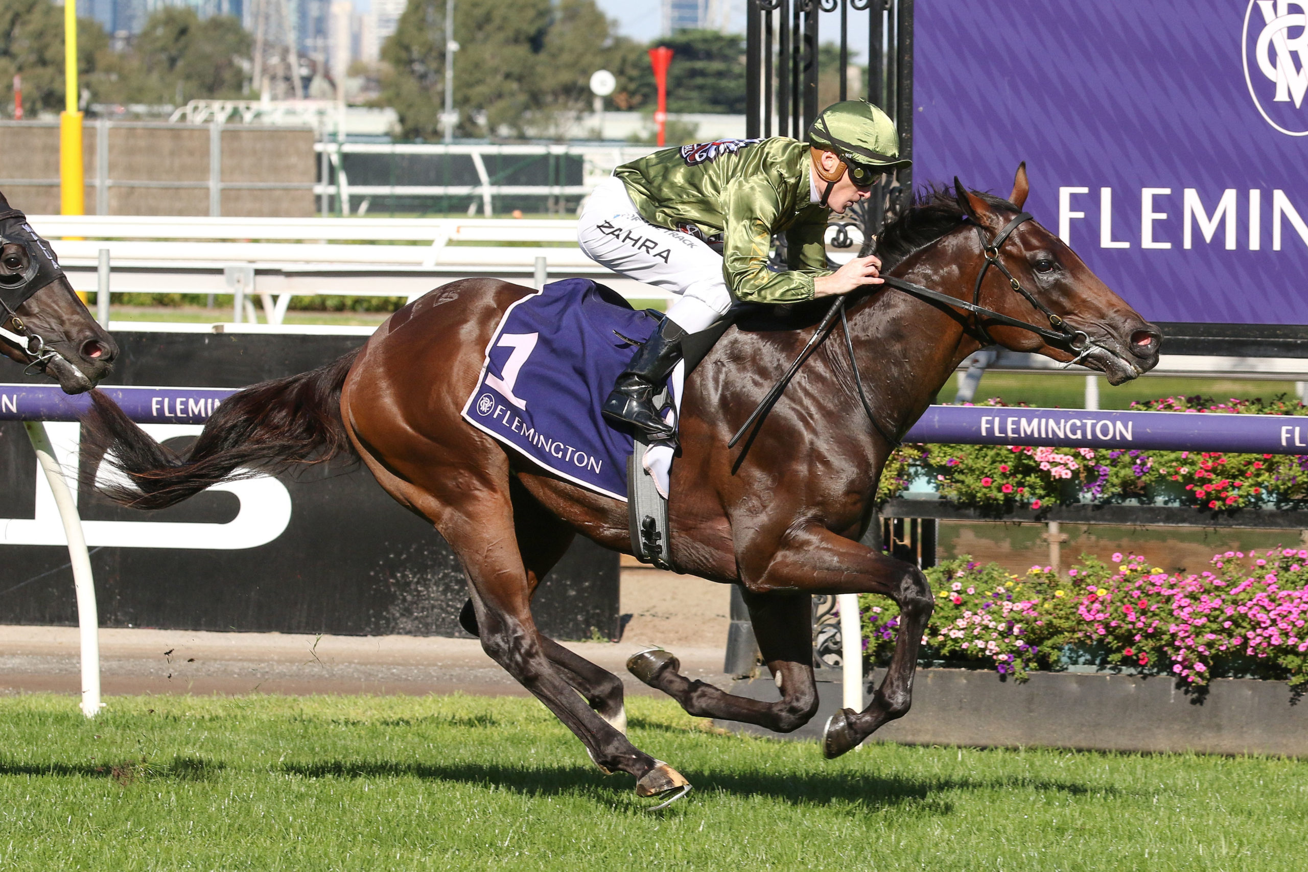 Caulfield Guineas contenders head odds in Stutt Stakes - Vimarsana News