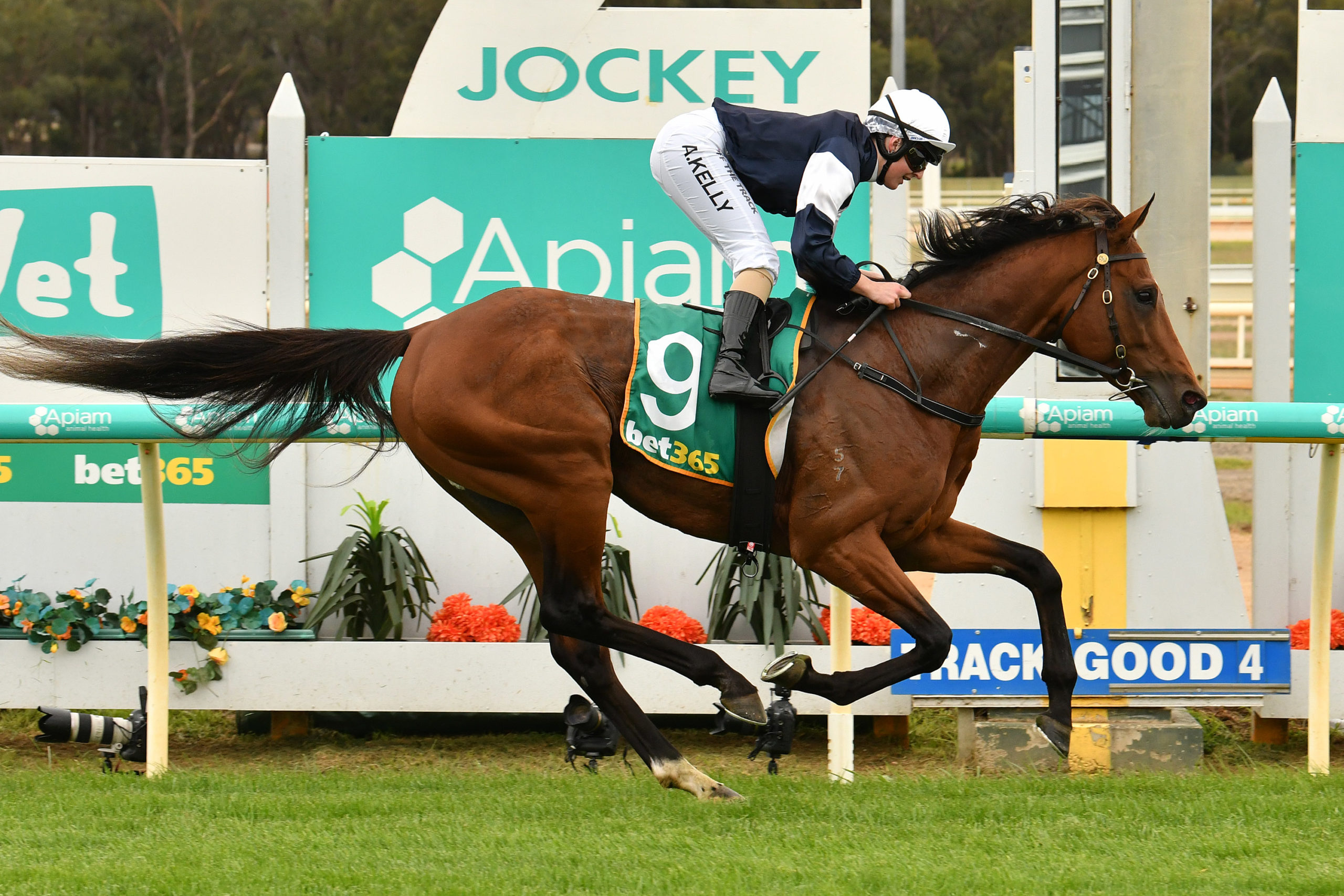 Point Nepean decisive in Bendigo win - Vimarsana News