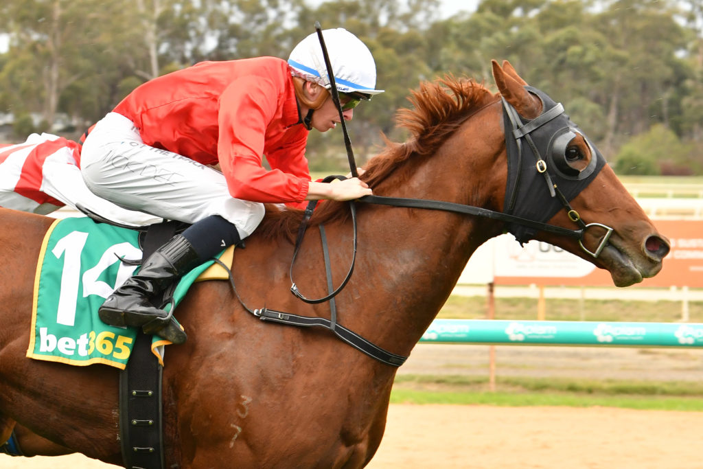 r8CherryTortoni-3841 | Just Horse Racing