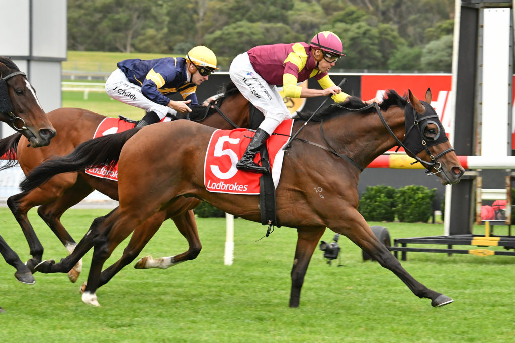 Regardsmaree | Just Horse Racing