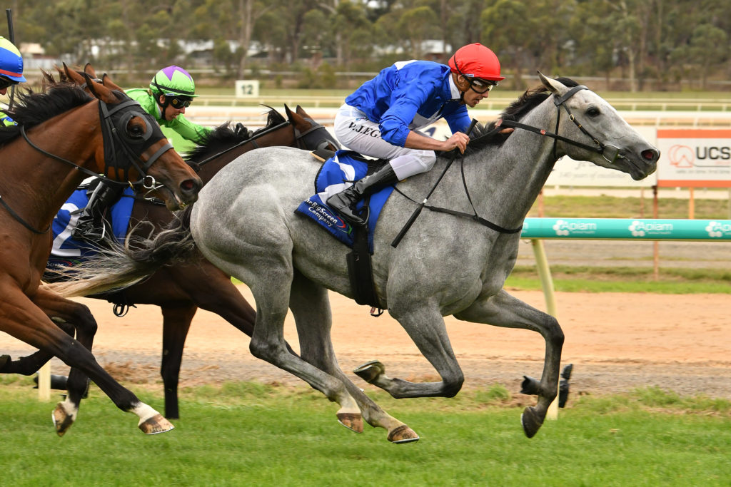 The Cunning Fox | Just Horse Racing