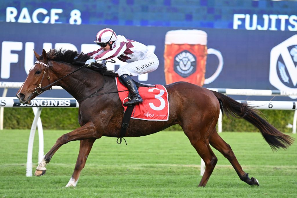 Art Cadeau 280522 6839 | Just Horse Racing