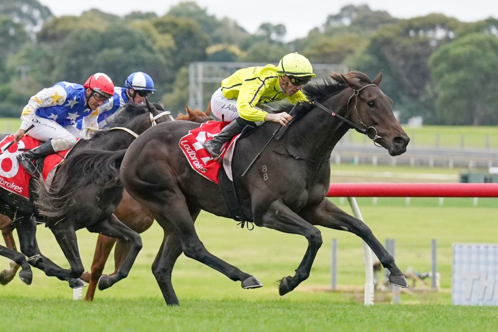 /r6/ | Just Horse Racing