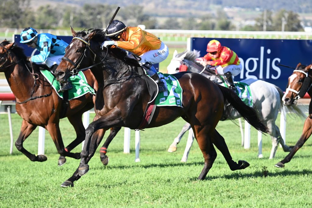 Flying Crazy 140522 2619 | Just Horse Racing