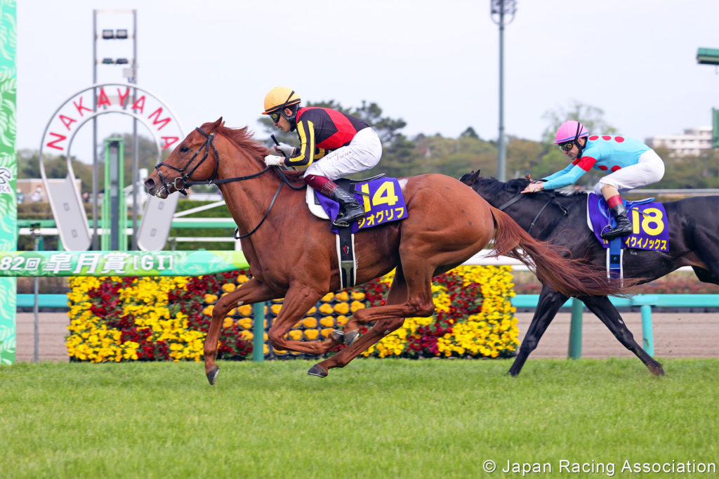 Geoglyph | Just Horse Racing