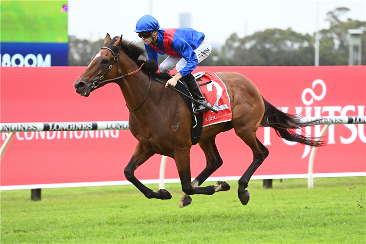 Heavy track made to order for Arapaho | Just Horse Racing