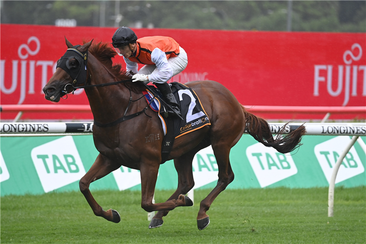 Group 1 double on Ellsberg’s radar | Just Horse Racing