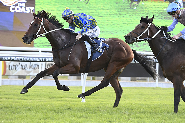 Rustic Steel scores ticket to The Big Dance | Just Horse Racing