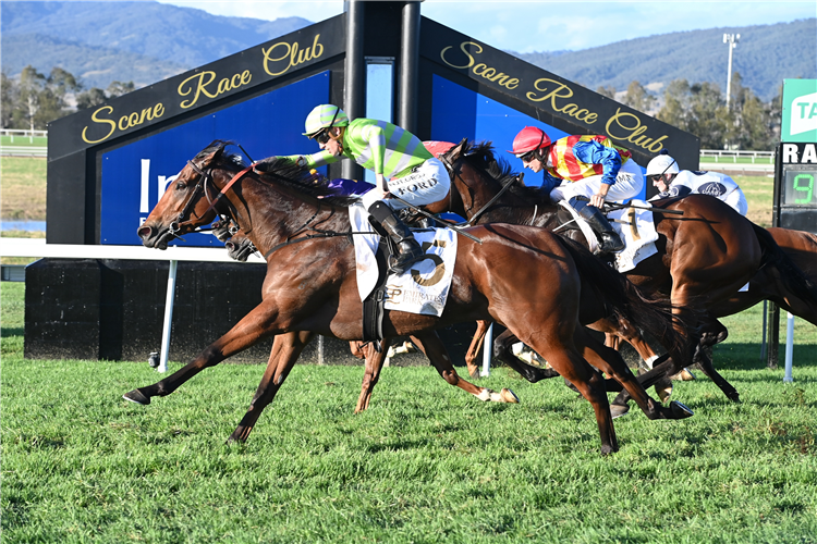 Vulpine shows versatility to win Ortensia | Just Horse Racing