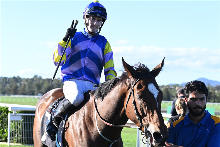 Schiller holds Jewel rivals to Ransom | Just Horse Racing