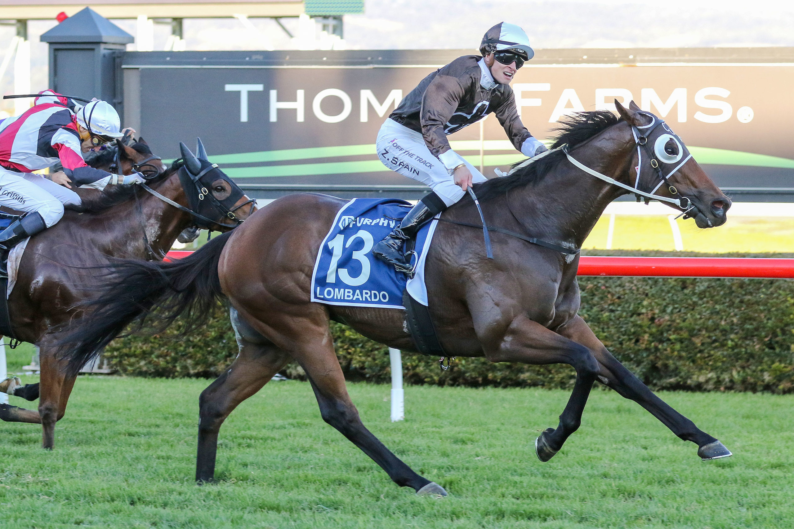 Zac Spain reunites with Group 1 winner - Vimarsana News