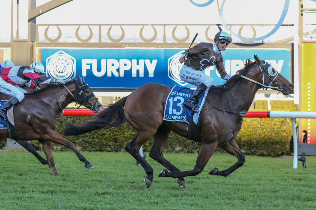 Lombardo,Goodwood Hdcp,Group 1_21-05-2022_WIN_Morphettville_8__894 | Just Horse Racing