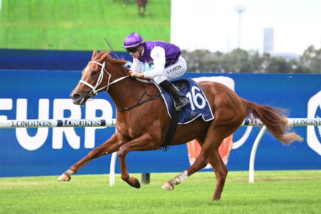 Madame Pommery 210522 3505 | Just Horse Racing