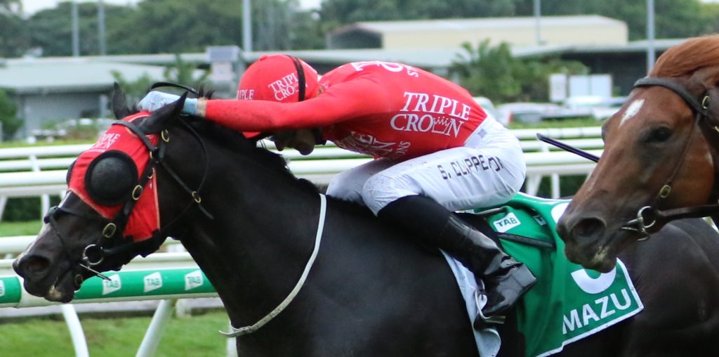 Mazu4 | Just Horse Racing