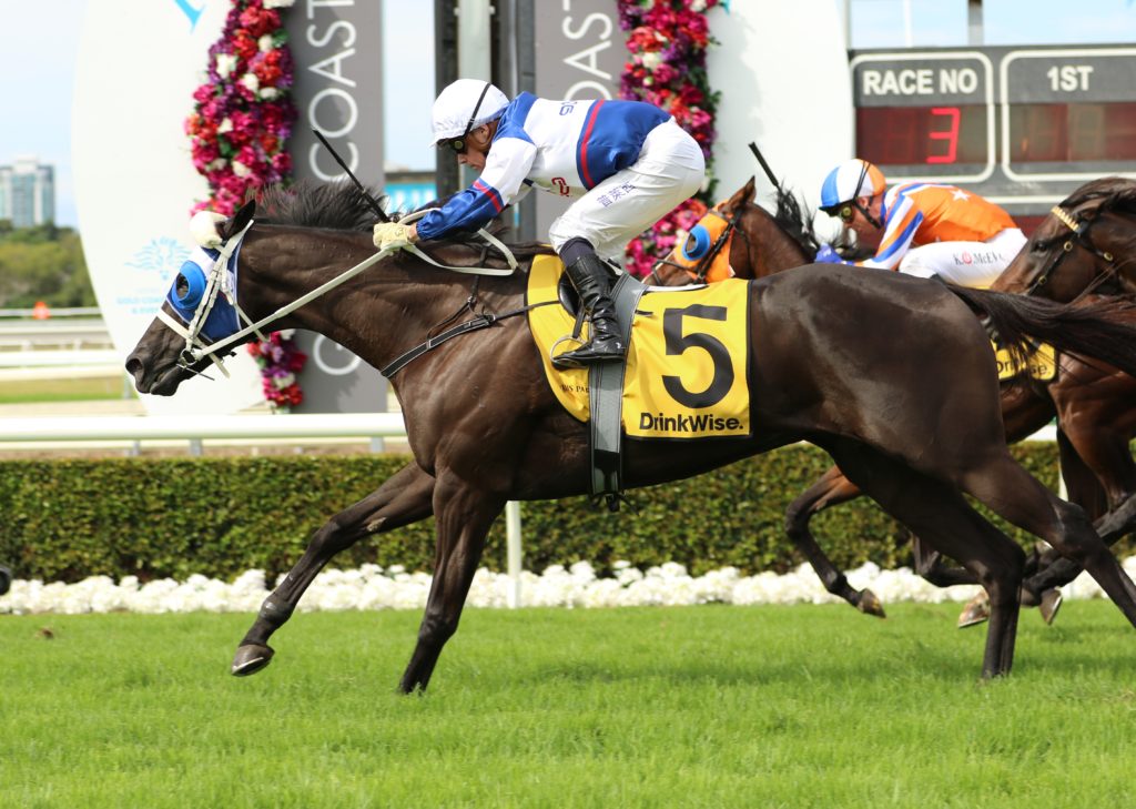 Stardome3 | Just Horse Racing