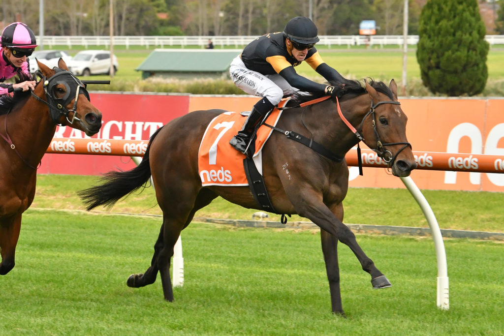 Deny Knowledge | Just Horse Racing