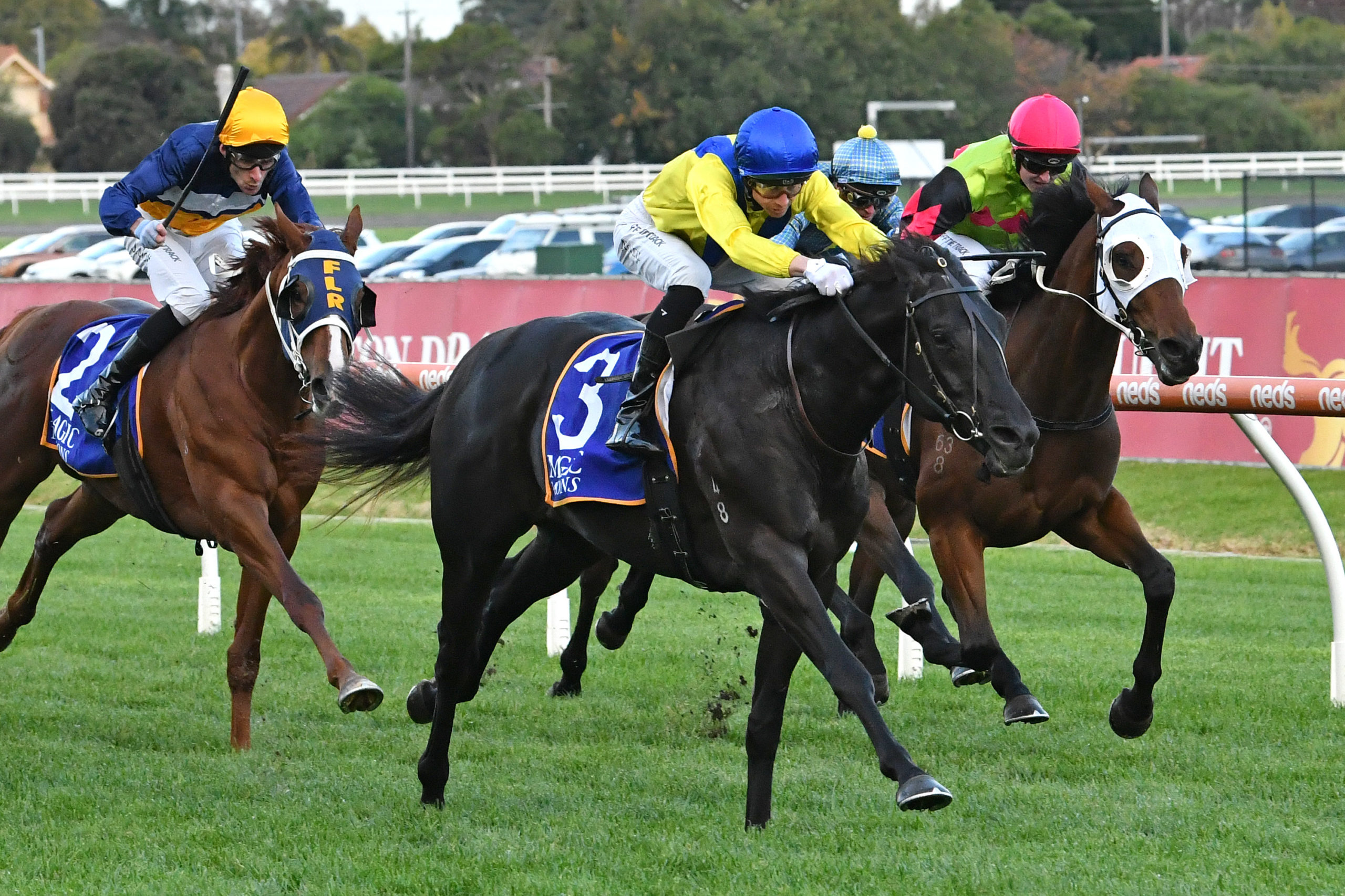 Elzamee returns to form at Caulfield - Vimarsana News