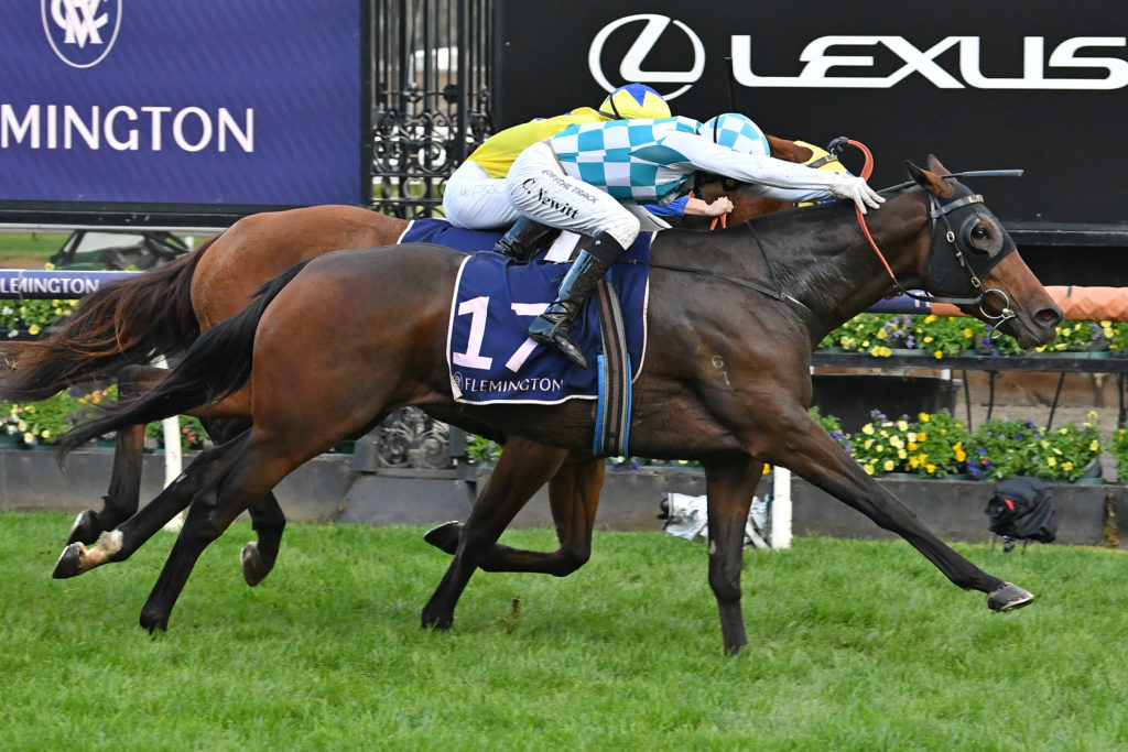 Triple Missile | Just Horse Racing